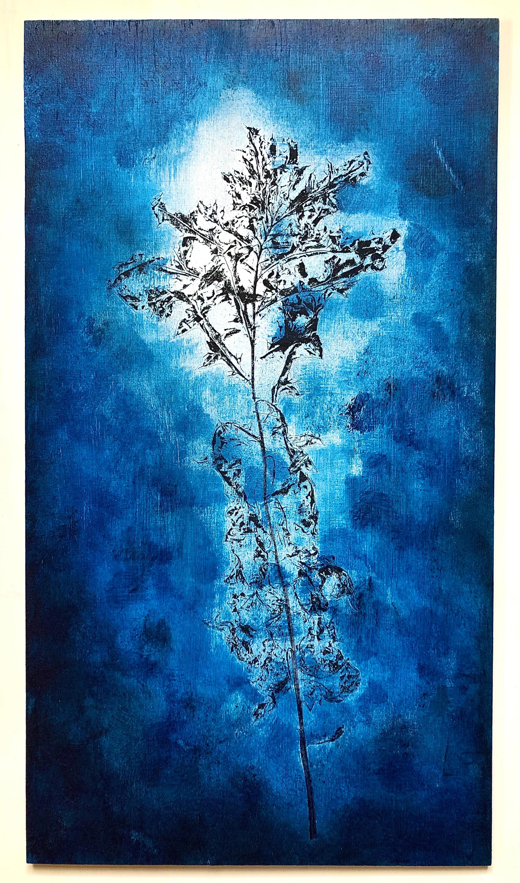 Kratzdistel_blau II - Reinhard Krehl 